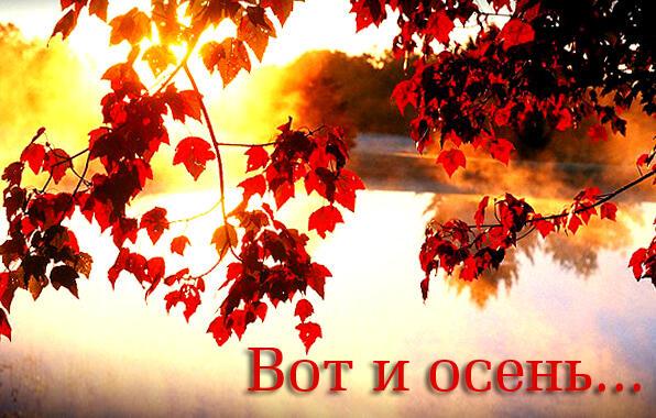 Вот и осень
