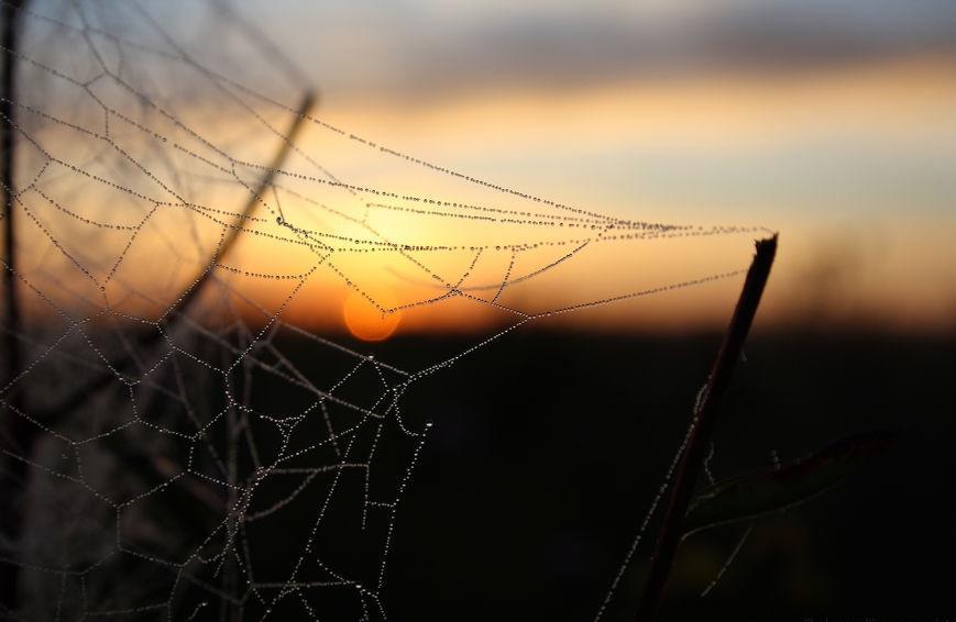 Доза мыслей