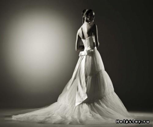 «Белые ба'нты…» или "Посвящение поэту"