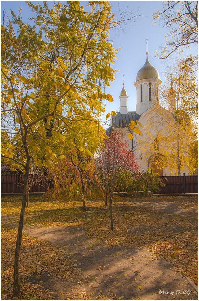 "Благодарю тебя за..." (04.11.2021)