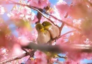 Любовный взрыв...