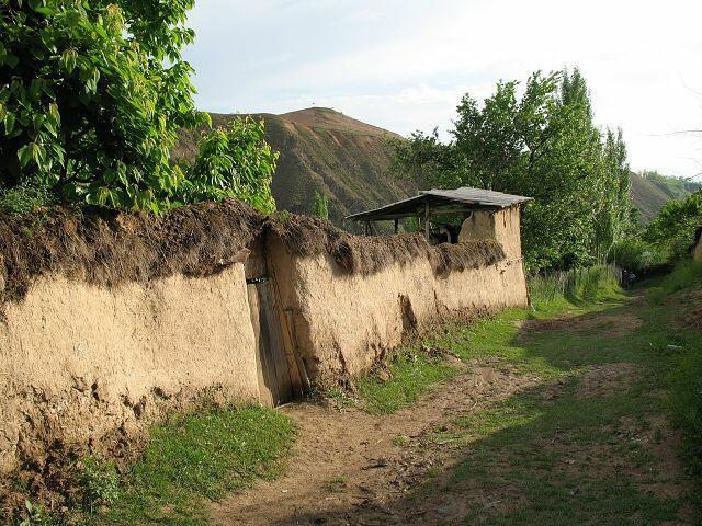 В гостях у дедушки