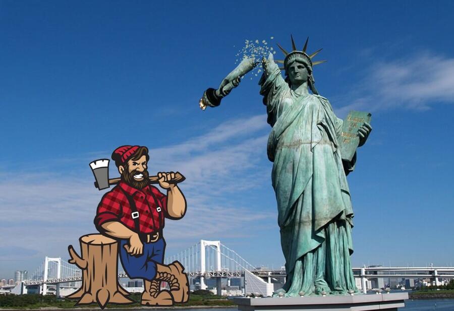 АФОРИЗМ о статуе =СВОБОДА=