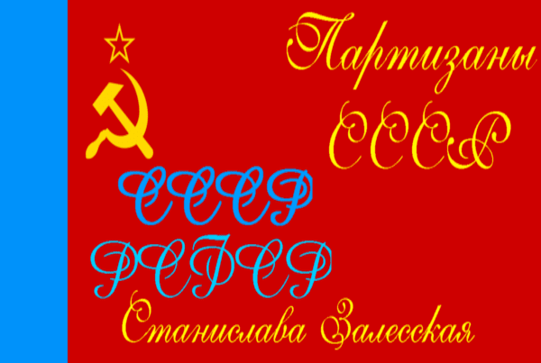 Партизаны СССР