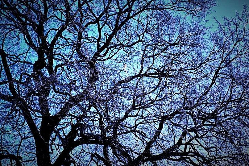 По закону природы