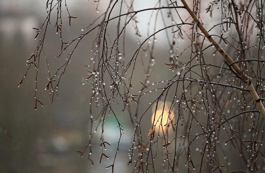"Я сижу на балконе с гитарой..." (22.04.2018)