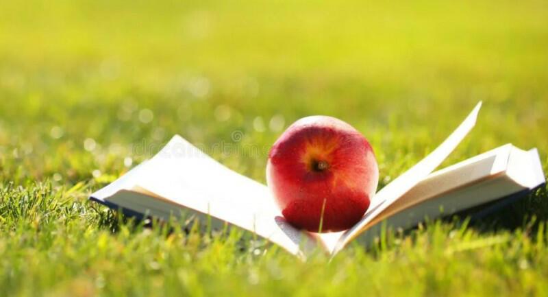 Ранние яблоки