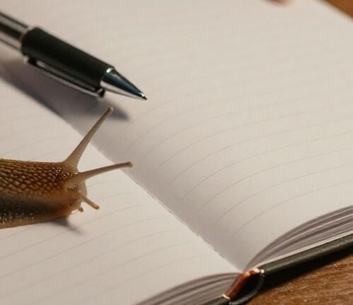 Только тревоги слизняк