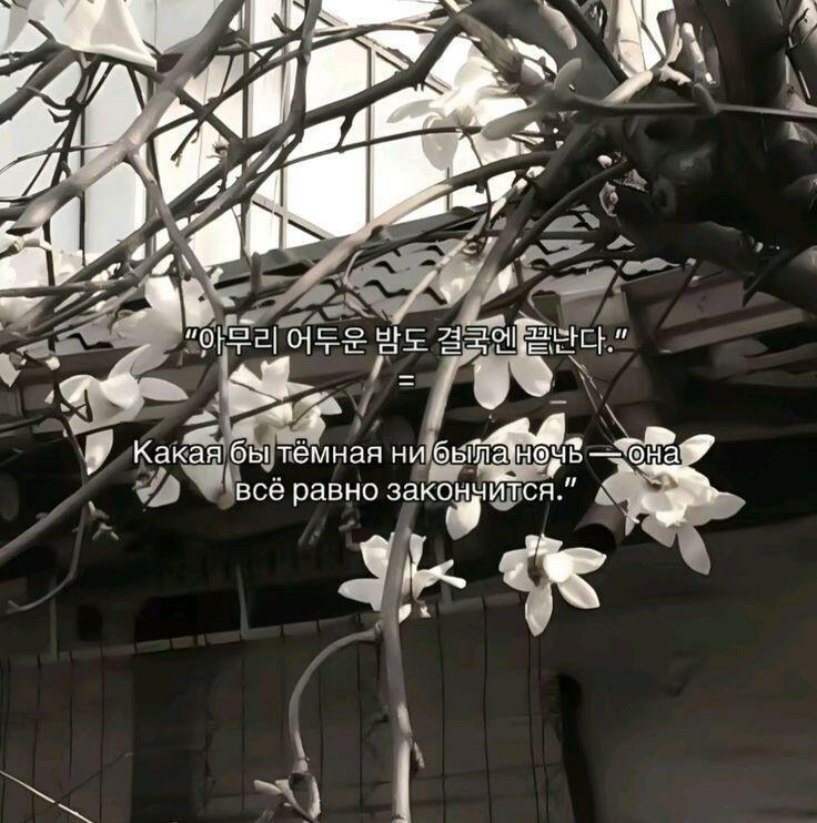 Шальная полночь