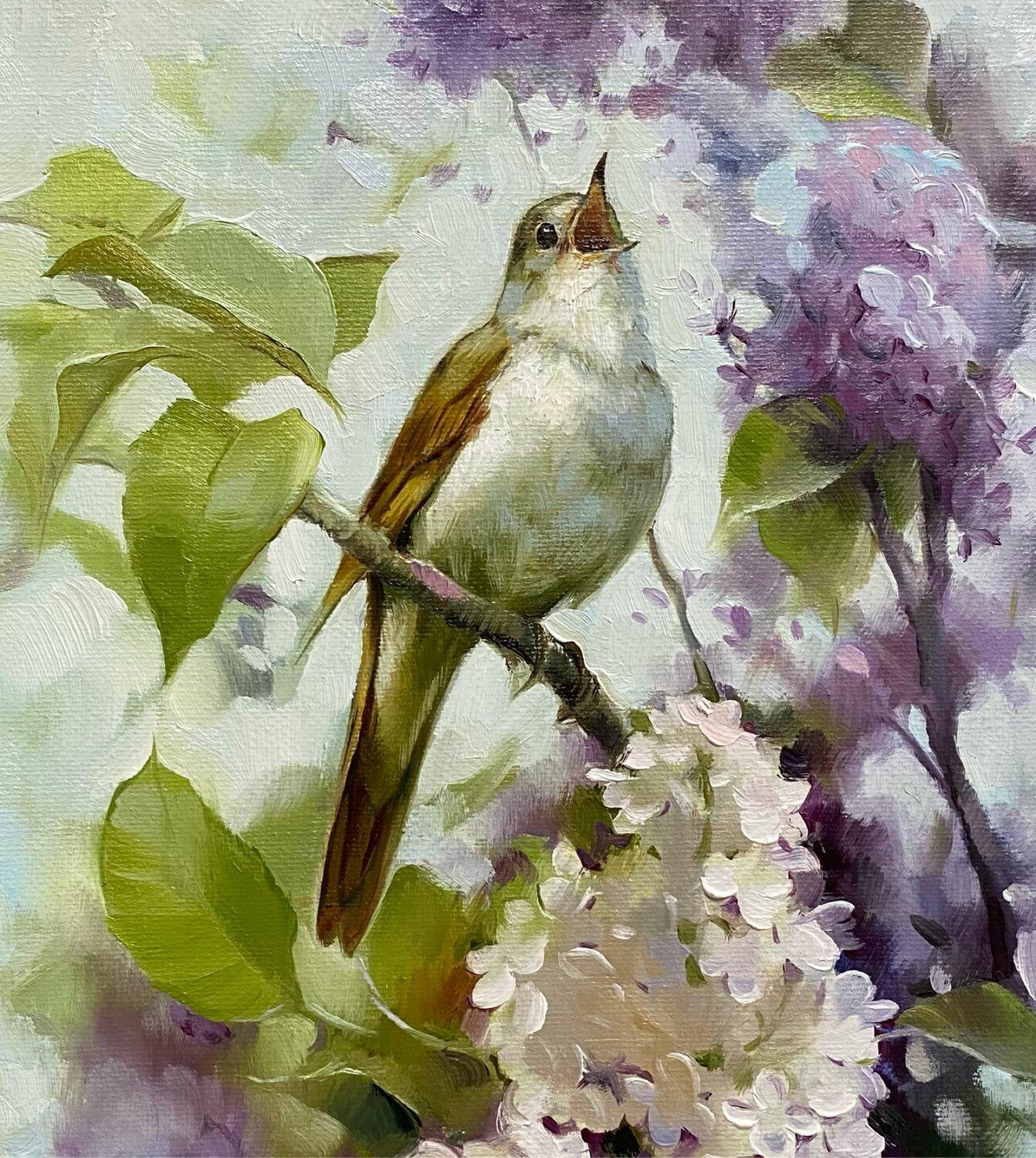 Соловей давал концерты