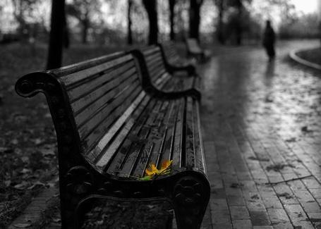 На пороге ноября