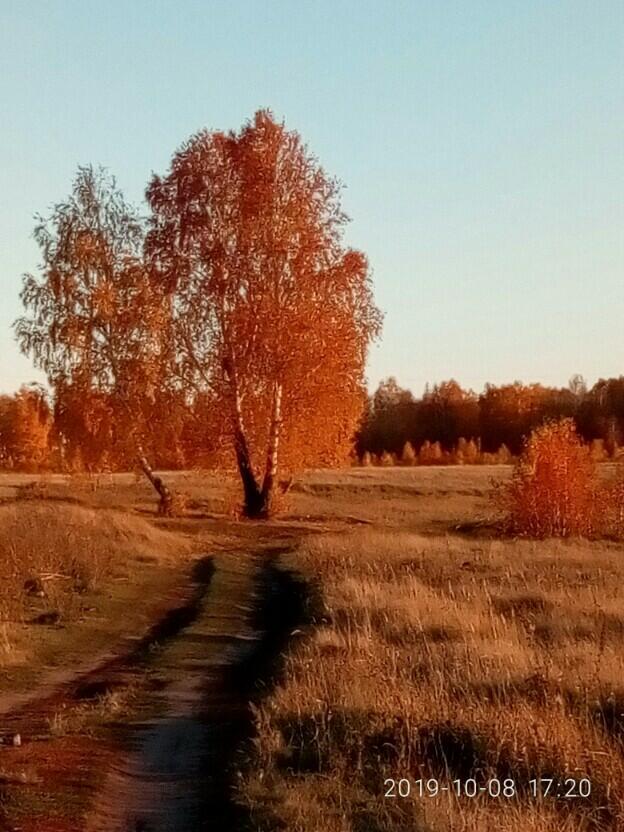 Узнай её! 