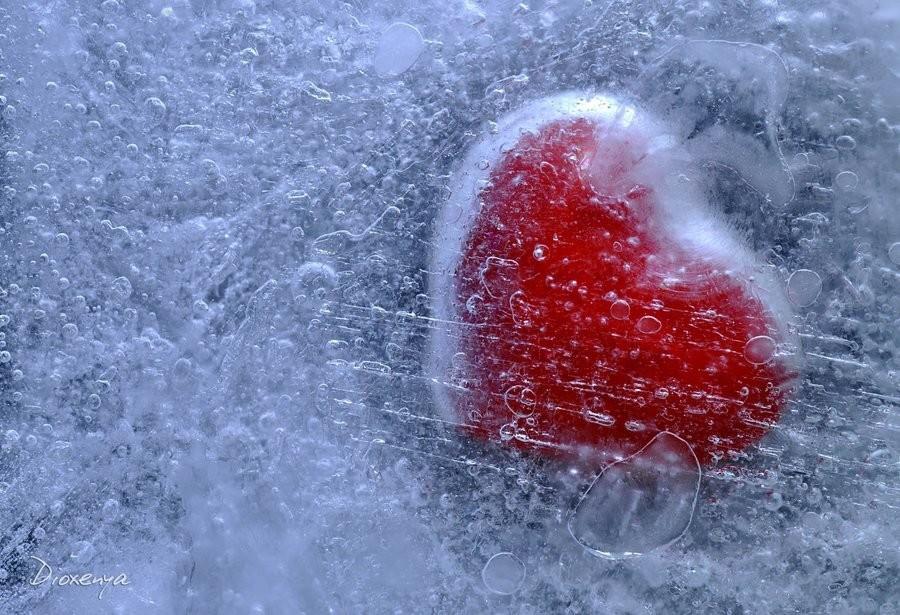 СЕРДЦЕ ВО ЛЬДУ