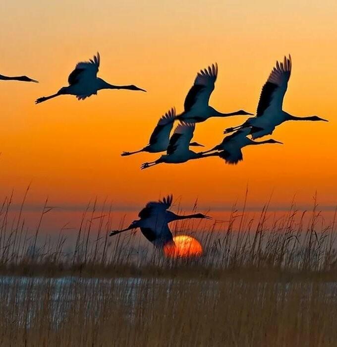 По лужам бродит дождь