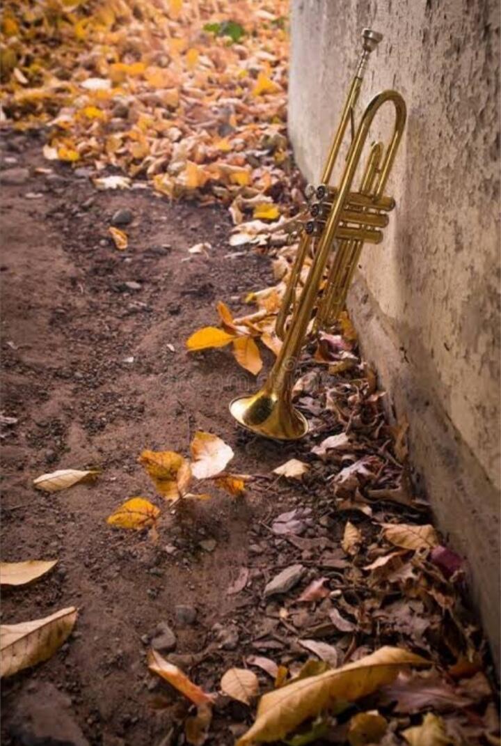 Осень.. Труба. 