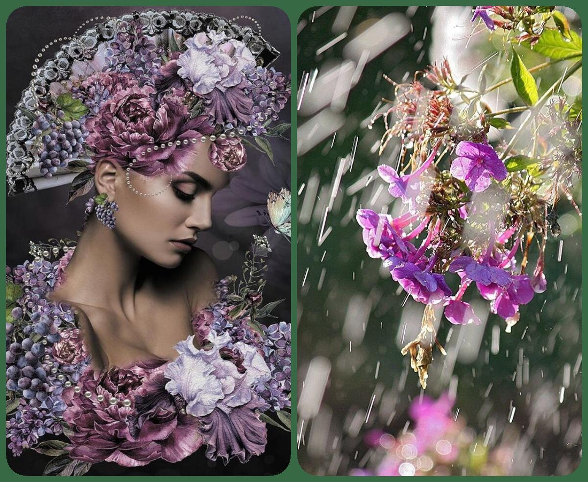 Сегодня так обласкан дождь     Галинка Багрецова