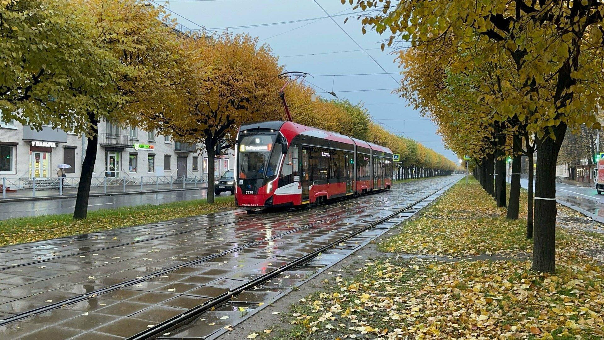 "Как наскучит уж ютиться…" (28.10.2025)