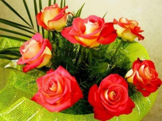 МИЛЫМ ЖЕНЩИНАМ ПОЭМБУКа  МОИ ПОЗДРАВЛЕНИЯ И ПОЖЕЛАНИЯ!