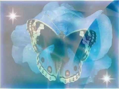 Любимая моя, забыт.