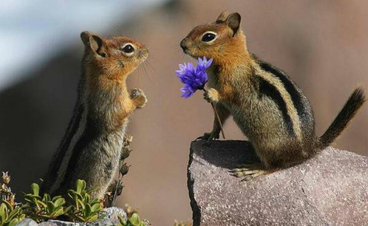 Жизнь – это бесконечные римейки.