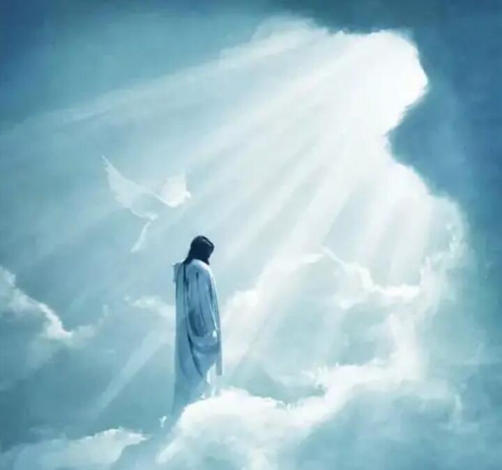 Вечный берег 