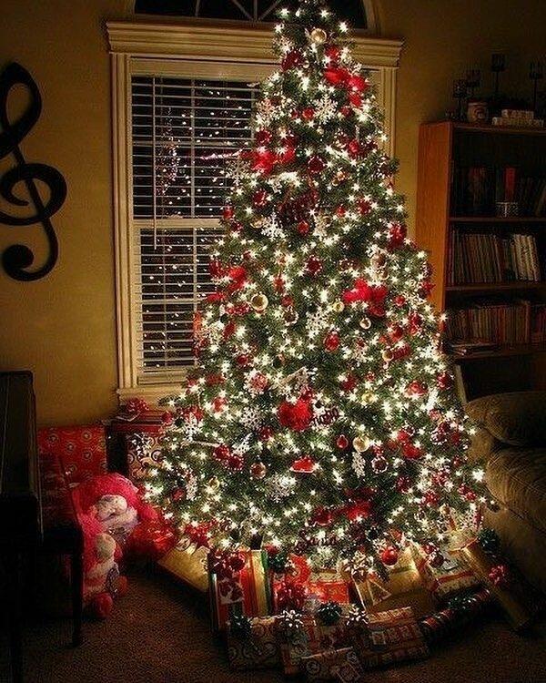 Ёлка (конкурсное 15 место)