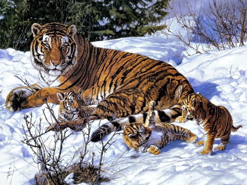 Благодарность животных