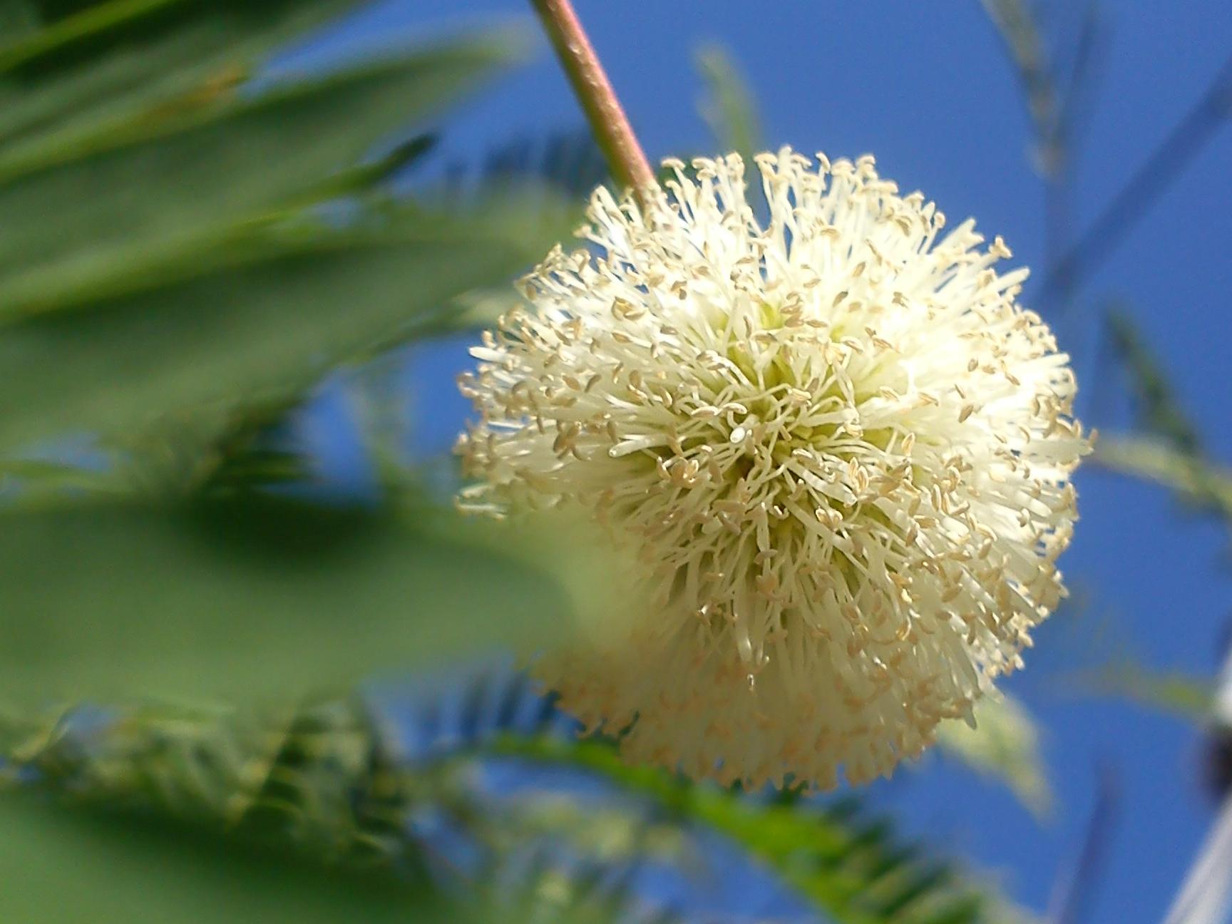 Притчи, глава 15 - перевод с иврита