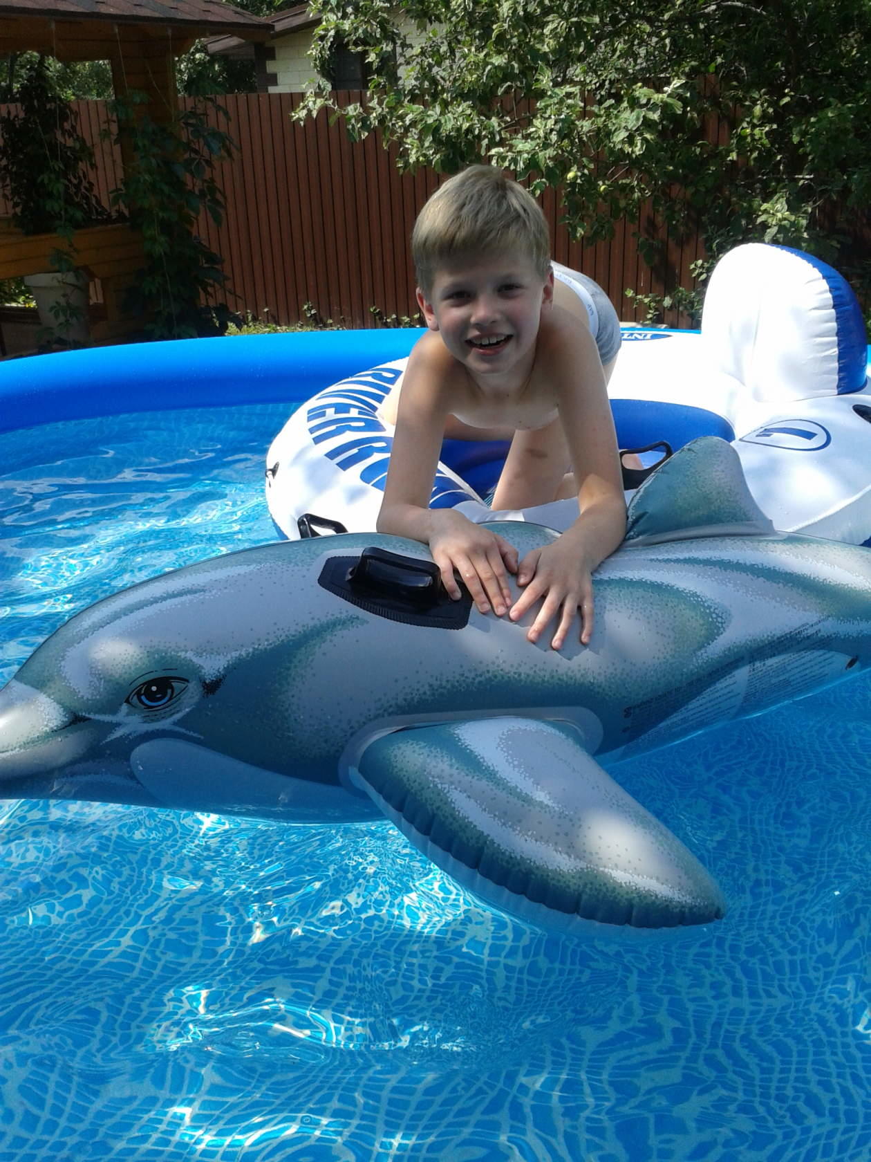 ЖАРА - (сейчас на даче)