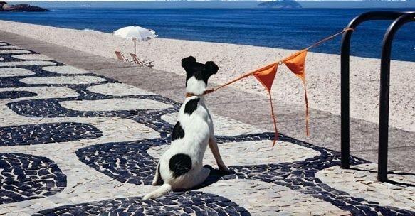 Пусть на меня ты дышишь перегаром