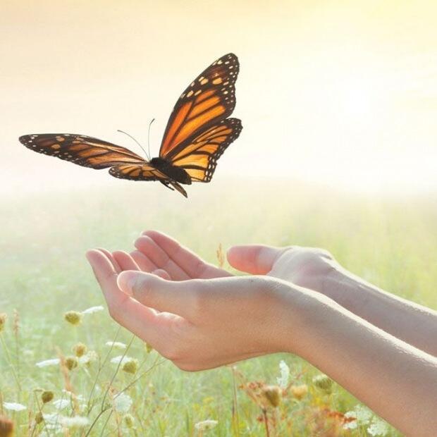 Вакханалия