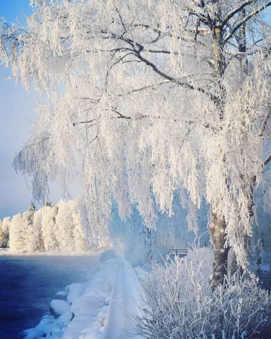 Не стесняйся, Зимушка, тебя мы ждали...