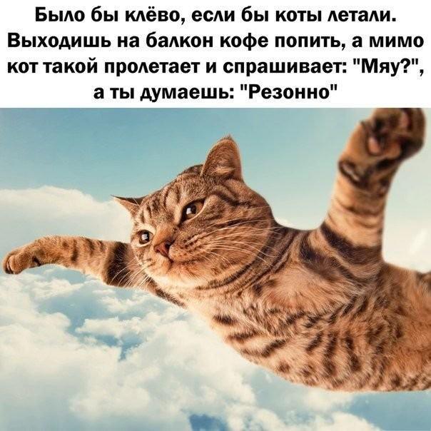 Мы живем для любви!