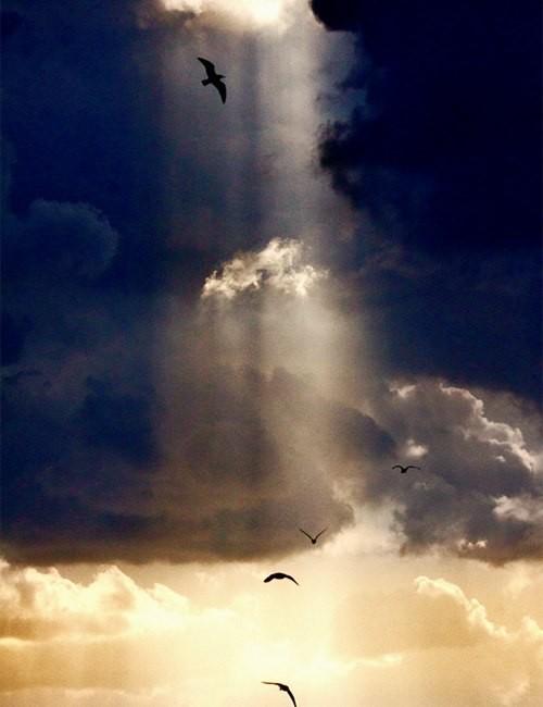 Как хочется, порою, мне взлететь...