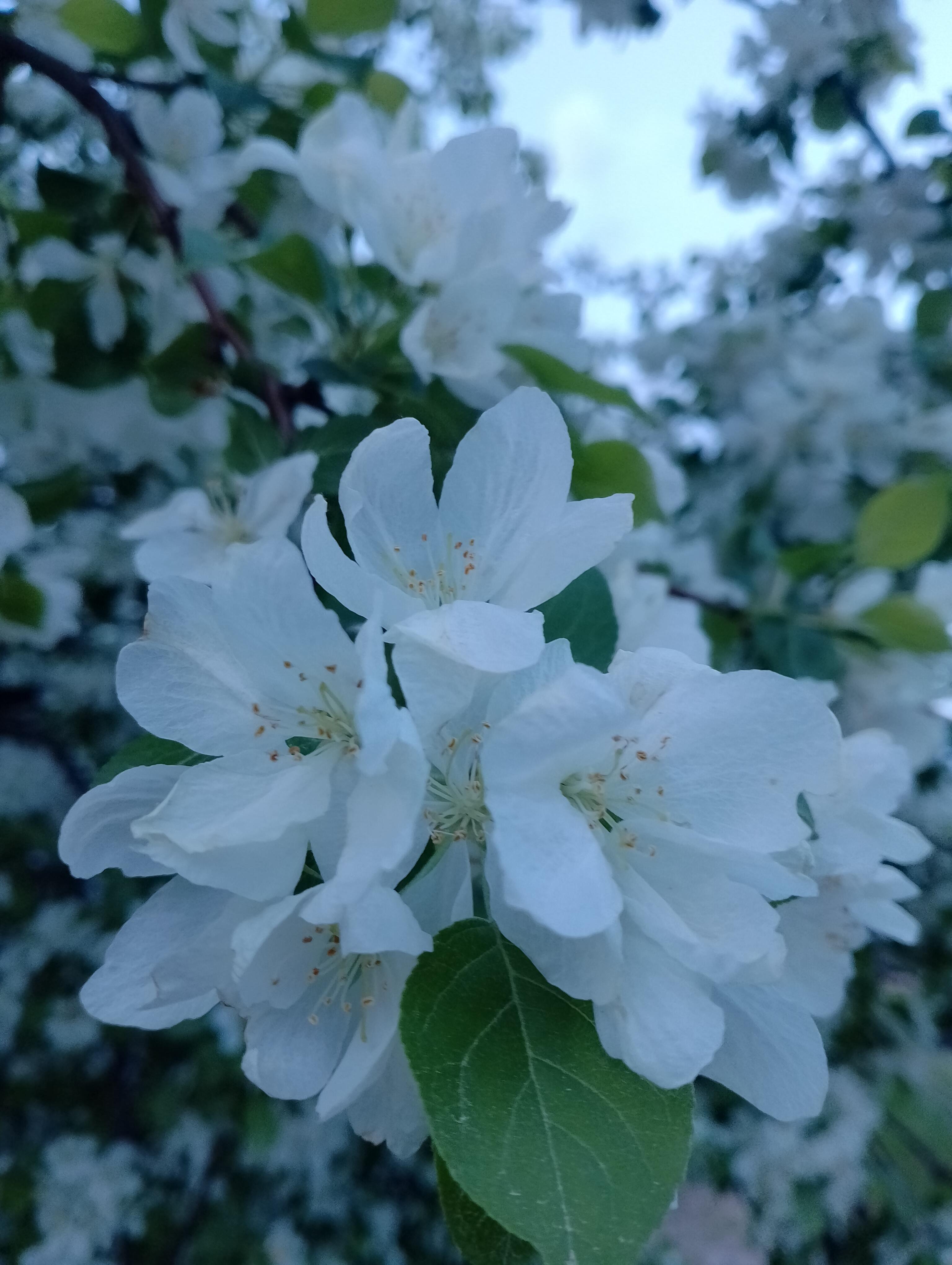 И снова воздух грозовой