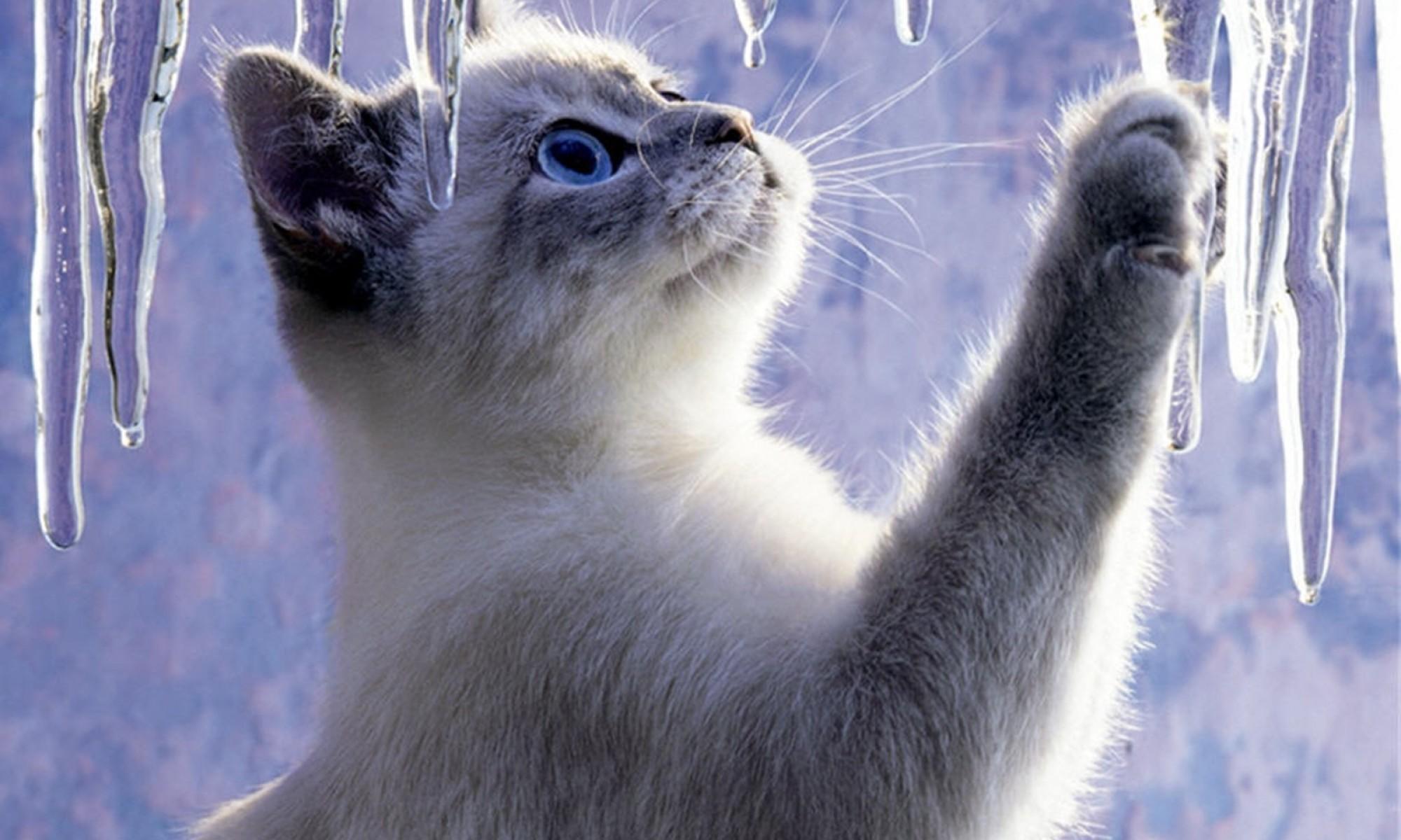 Меняю.(Стих посвящается Лерочке.).