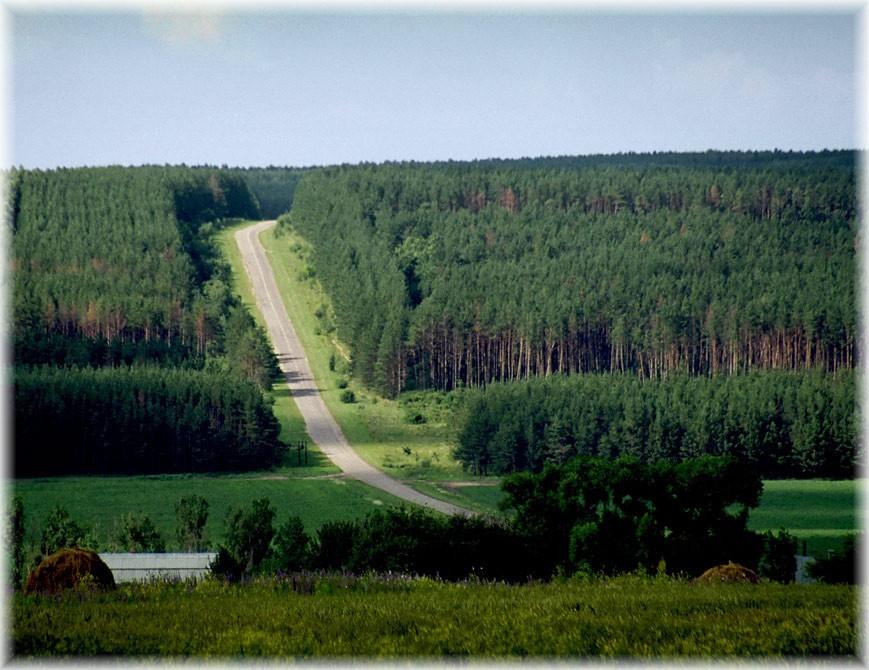 8. Тихий Дон. Старая задонская дорога. Репортажи.