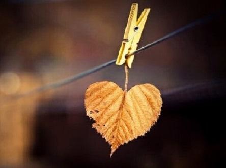 Последний лист...