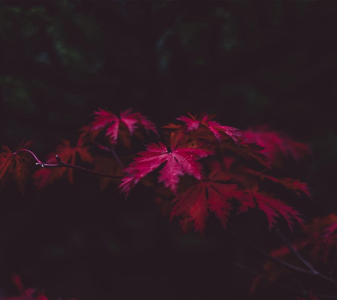 Я рад бы помочь...