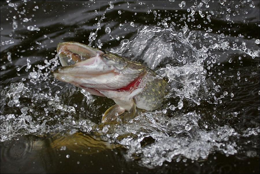 Хрустальный салют