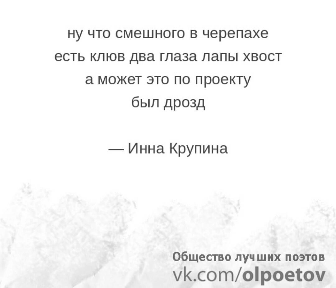 Черепаха Ассорти