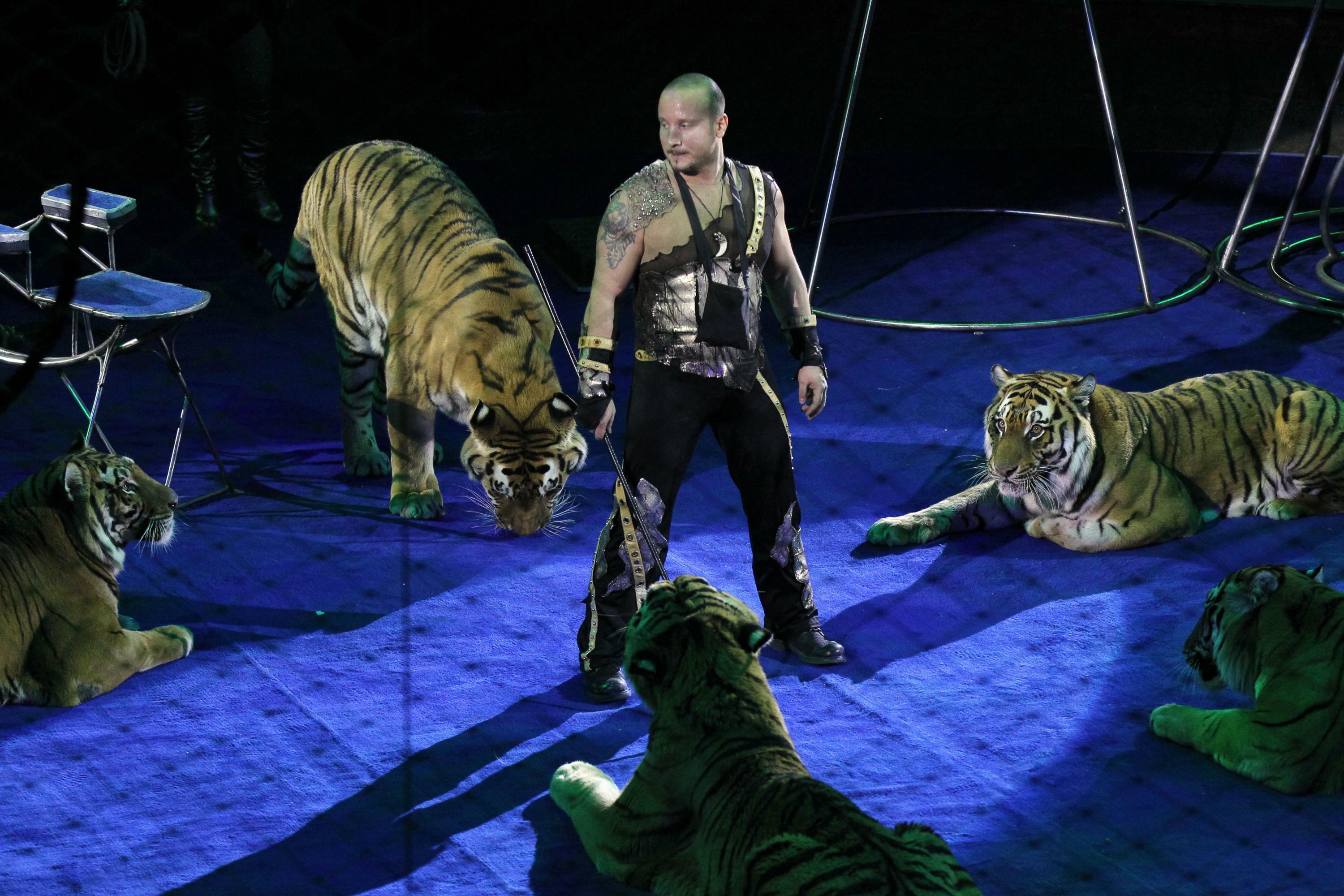 Цирк детства.