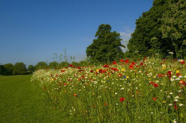 У ЛЕТА ТЫСЯЧИ ОТТЕНКОВ