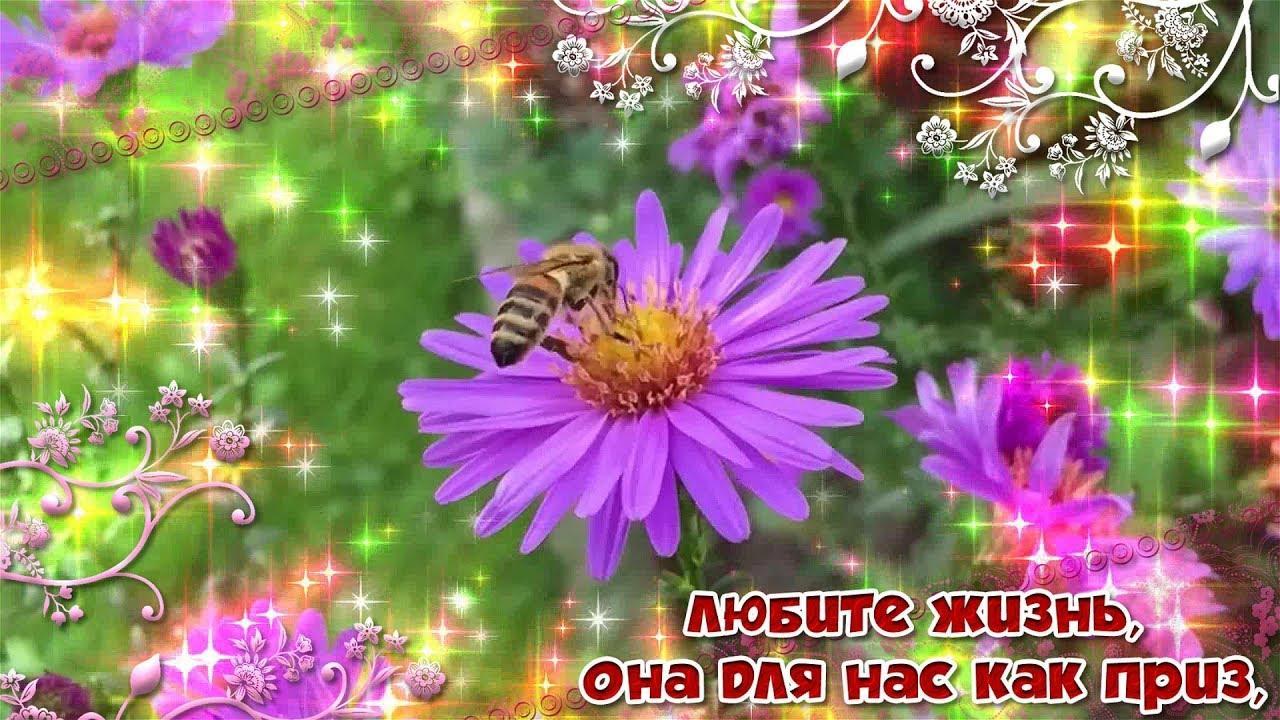 Люблю жизнь