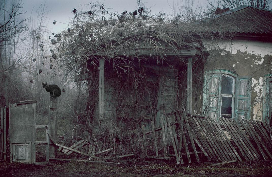 В моём доме нет книг