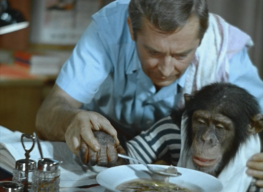 Всё для блага шефа!