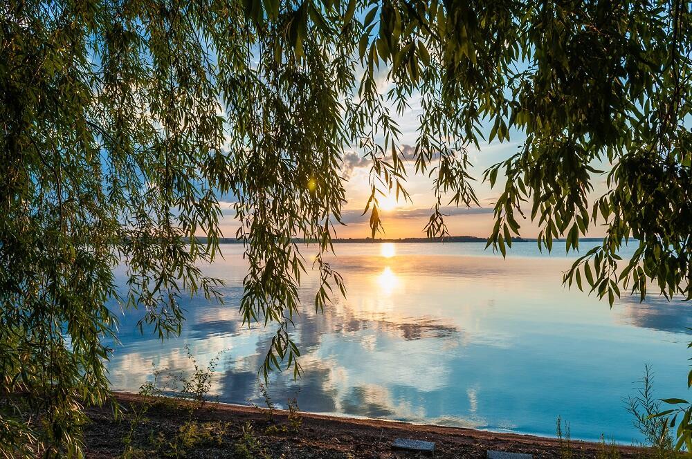 ИВУШКА К РЕКЕ С ПОКЛОНОМ