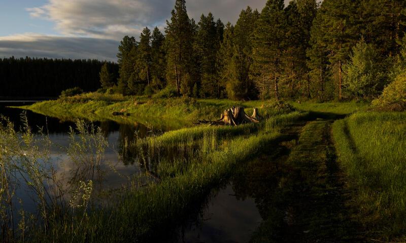 Давно это было...