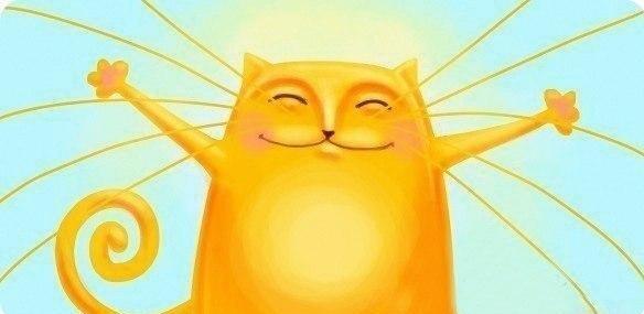 Солнечный Кот
