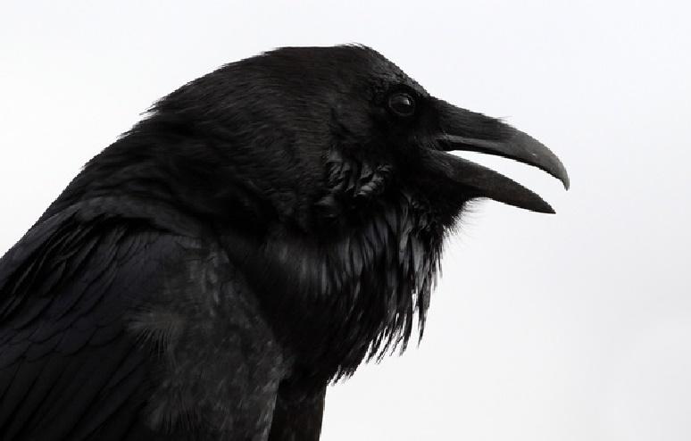 Nevermore